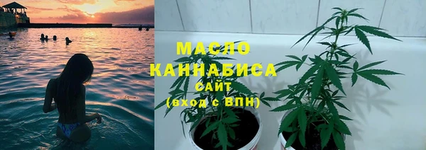 гидра Вяземский