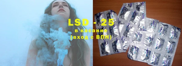 гидра Вяземский