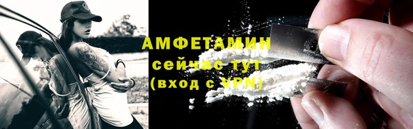 прущие грибы Горнозаводск