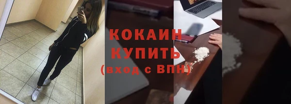 гидра Вяземский