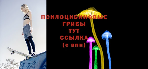 гидра Вяземский