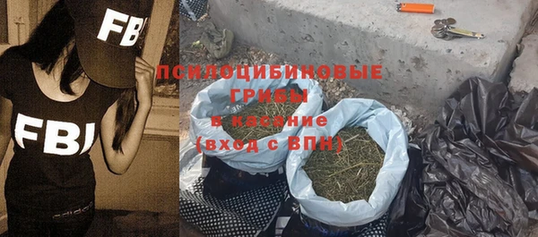 apvp Вязьма
