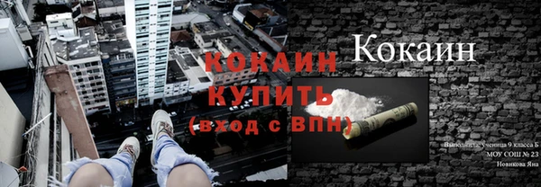 apvp Вязьма