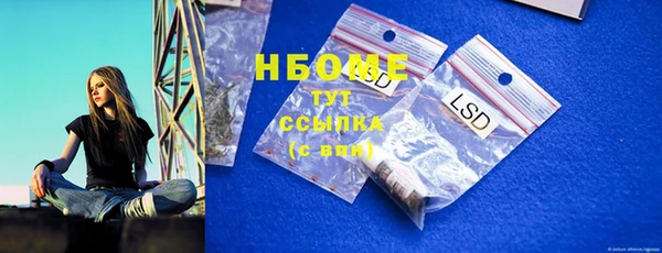 гидра Вяземский