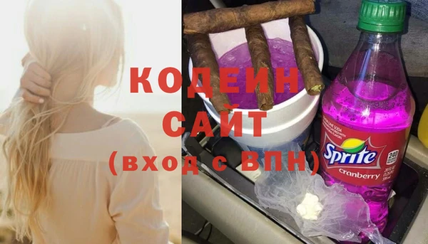 гидра Вяземский