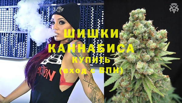 apvp Вязьма
