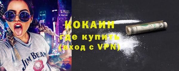 гидра Вяземский