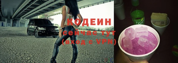 apvp Вязьма