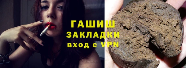 гидра Вяземский