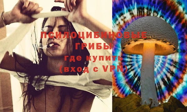 apvp Вязьма