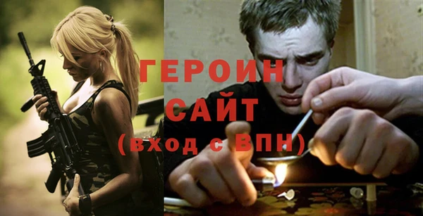 гидра Вяземский