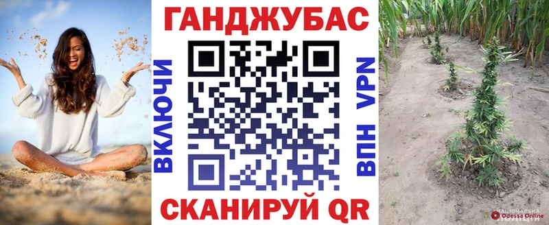 Купить закладки  Белово  Каннабис сатива 